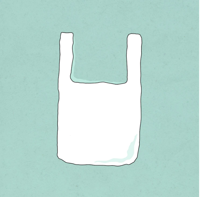 EMPAQUES ECOLÓGICOS QUE LE DAN VIDA A TU MARCA